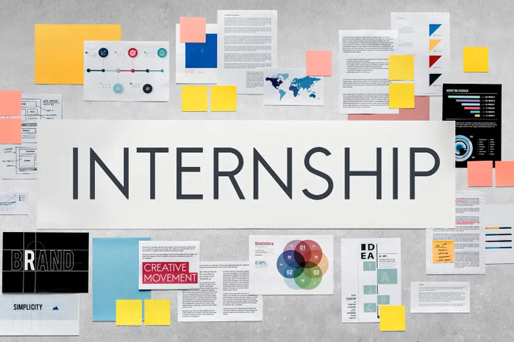 Academy 6 furniture Internships
